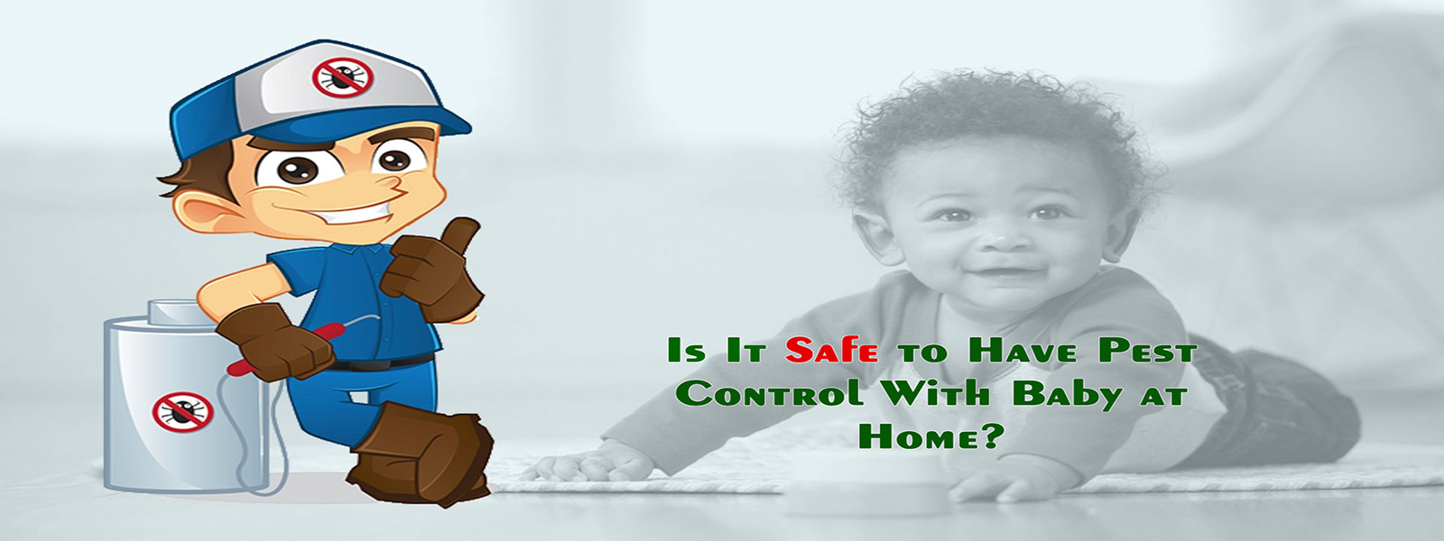 pest control services